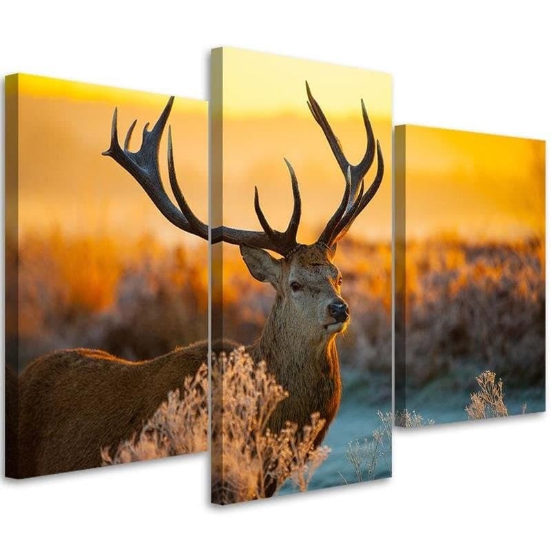 Stampa su tela 3 pezzi Cervo Animale Tramonto Natura