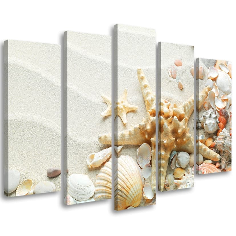 Stampa su tela 5 pezzi conchiglie spiaggia sabbia beige