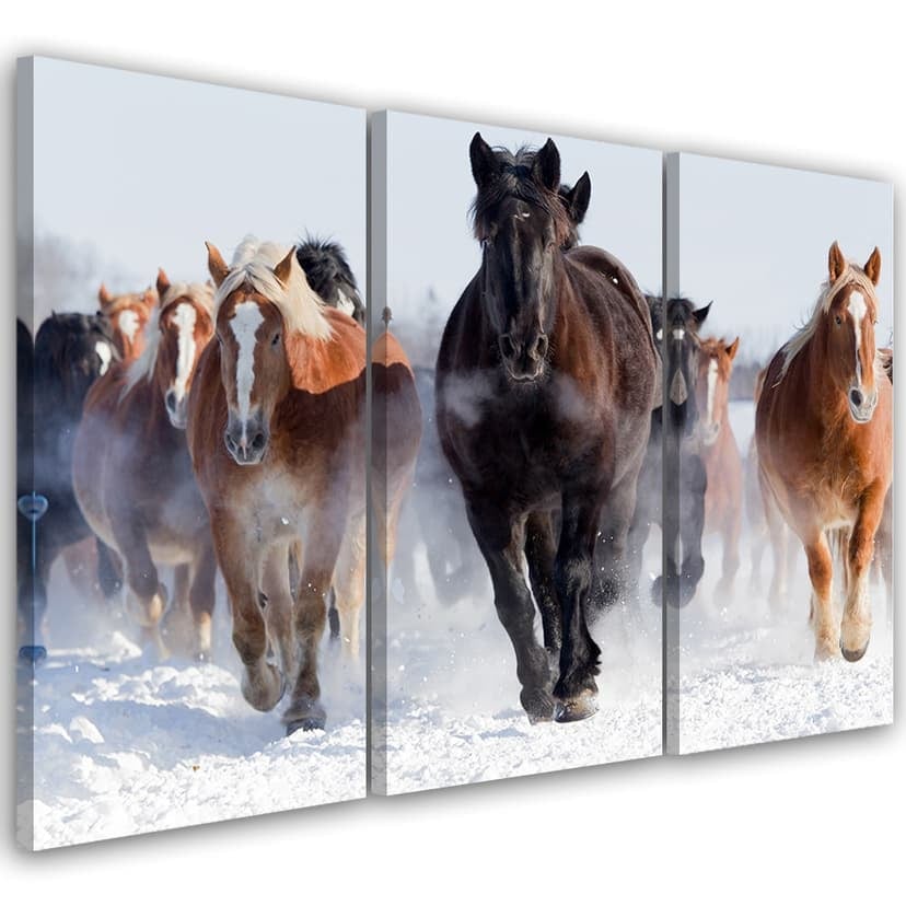 Stampa su tela 3 pezzi, Quarter Horses al galoppo invernale