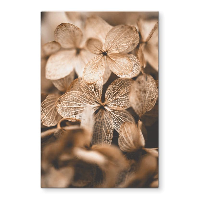 Stampa su vetro Annie - Fiori delicati