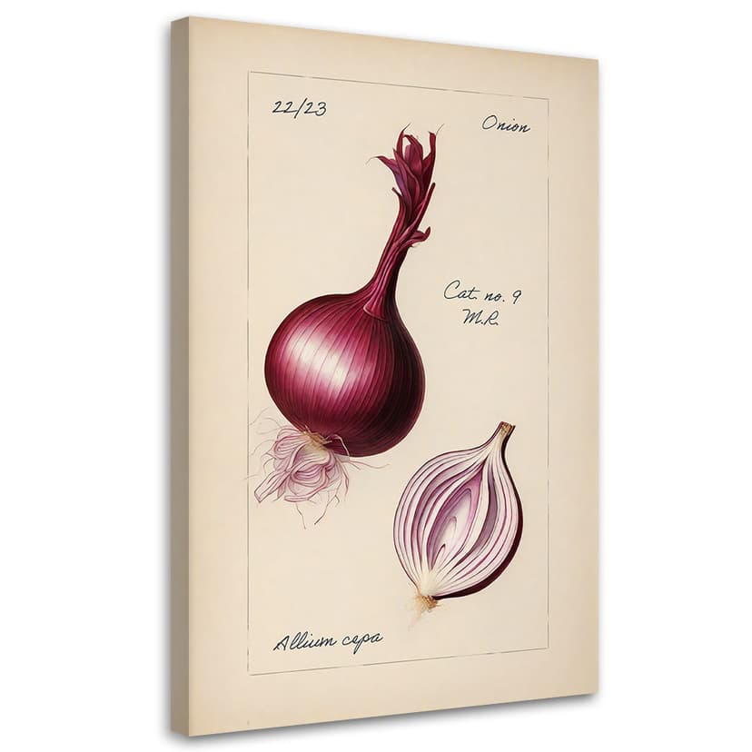 Stampa su tela, Cipolla da raccolta vegetale