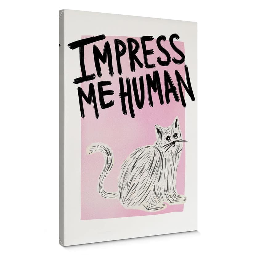 Stampa su tela Gatto: Impress me Human - Bloom