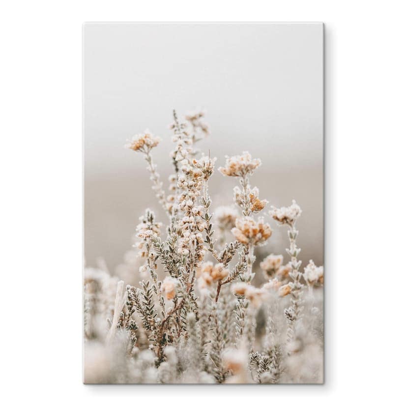 Stampa su vetro Annie - Fiori di ghiaccio