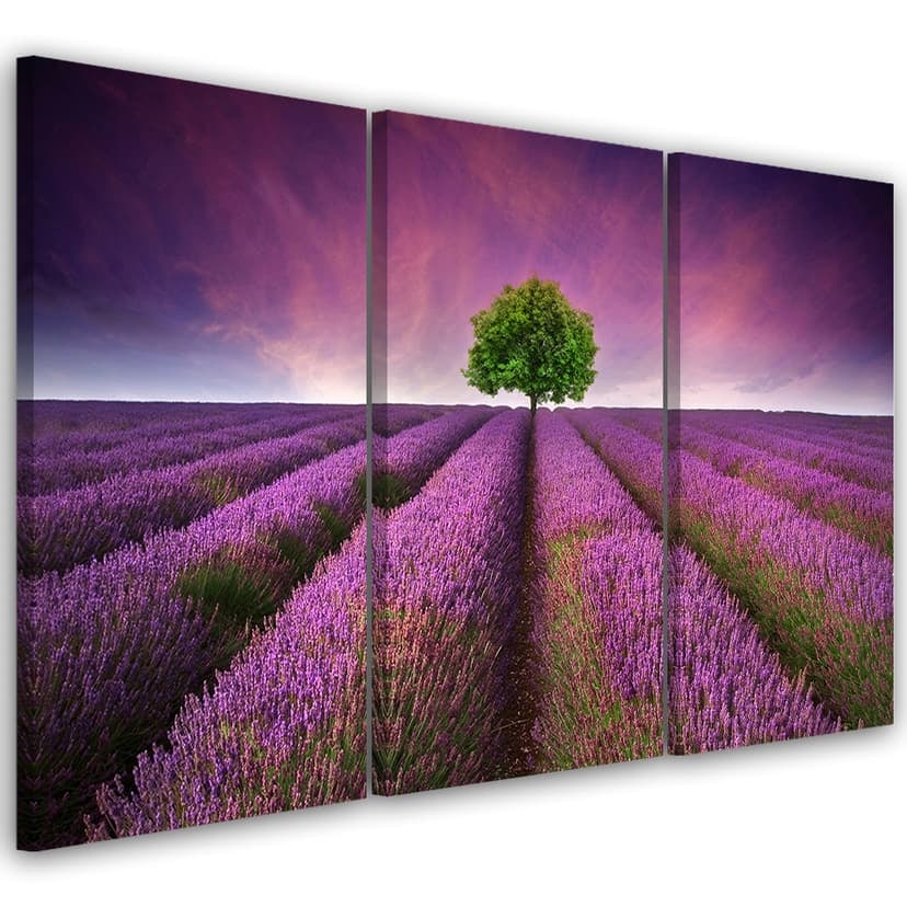 Stampa su tela 3 pezzi, prato di fiori viola