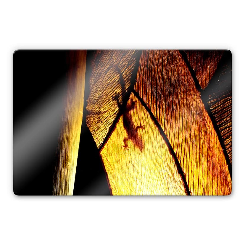 Gioco d'ombre