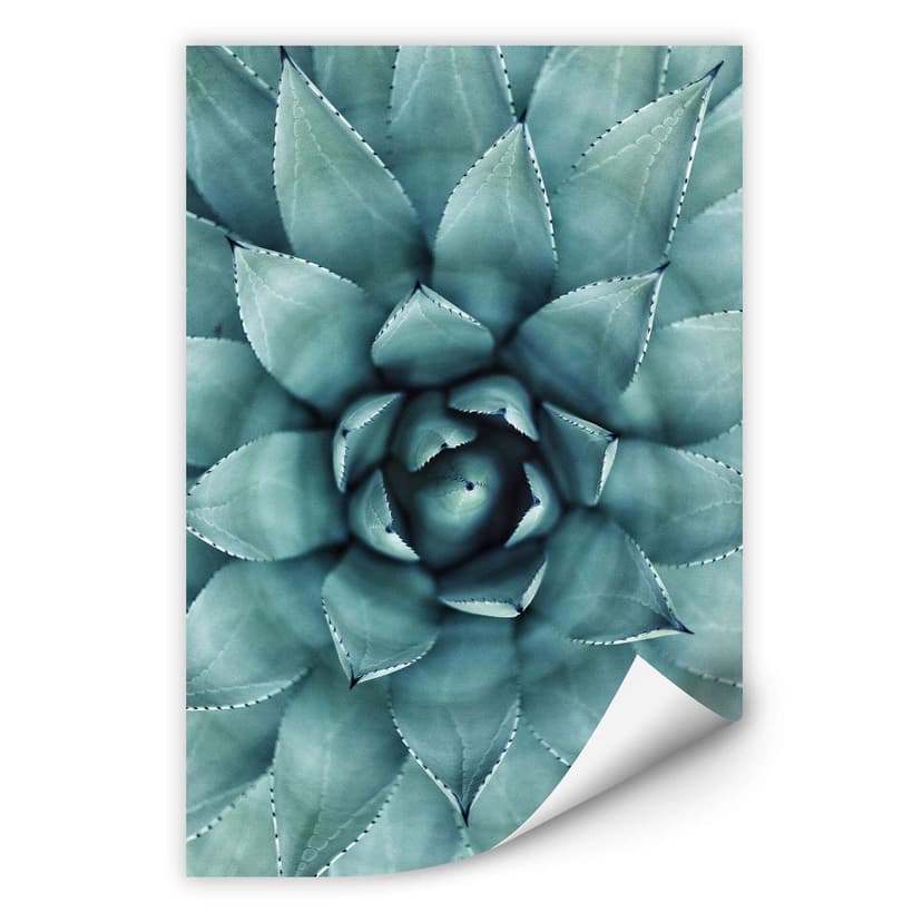 Stampa murale Agave 02