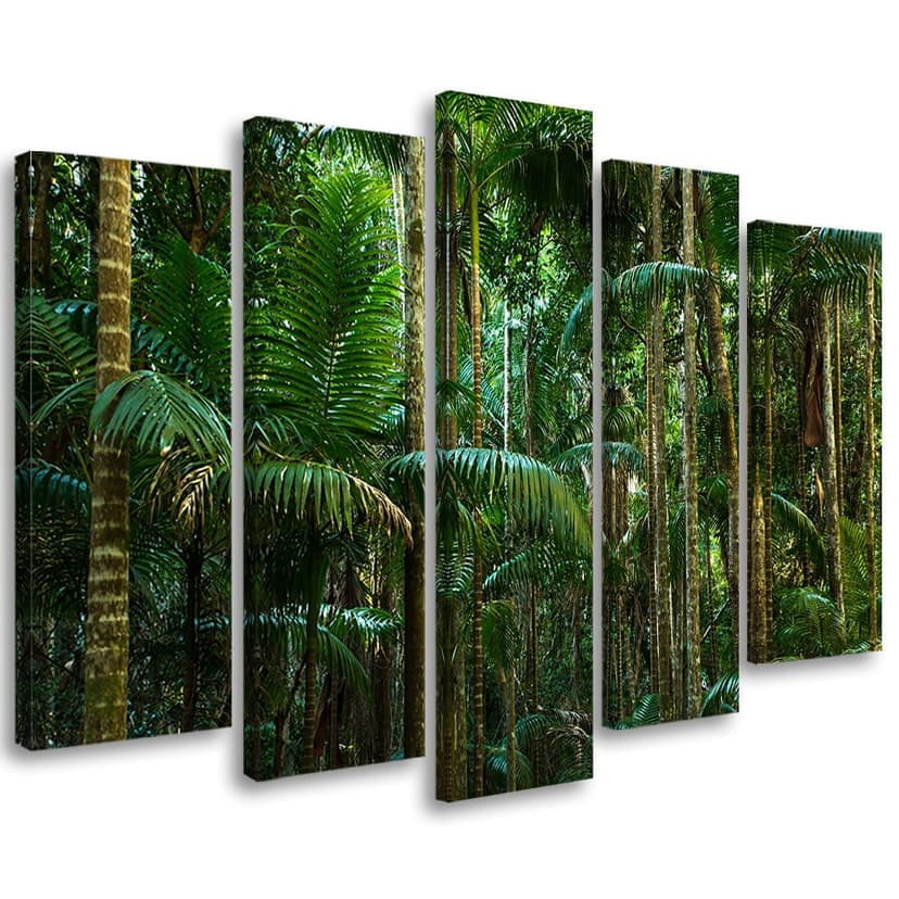 Stampa su tela 5 pezzi, foresta pluviale natura