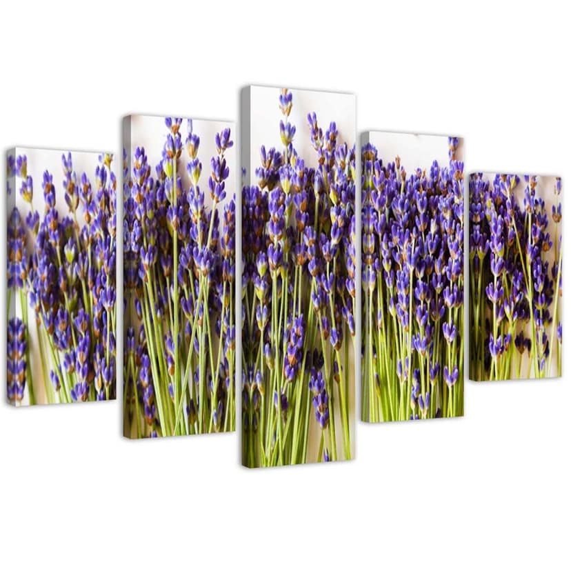 Stampa su tela 5 pezzi, fiori di lavanda natura