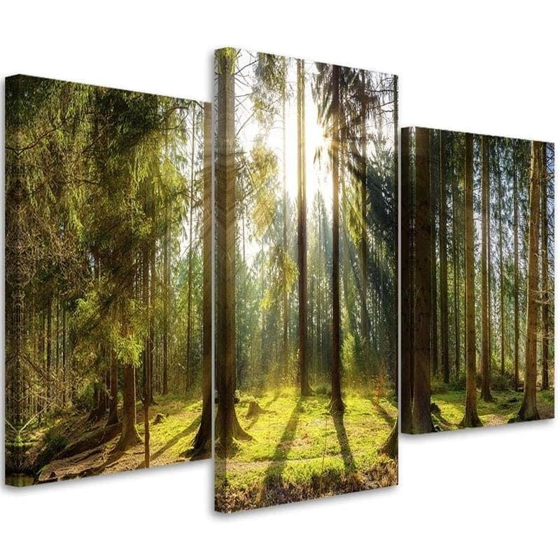 Stampa su tela 3 pezzi, foresta raggi albero natura