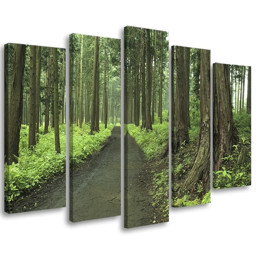 Stampa su tela 5 pezzi, Foresta Strada Alberi Natura