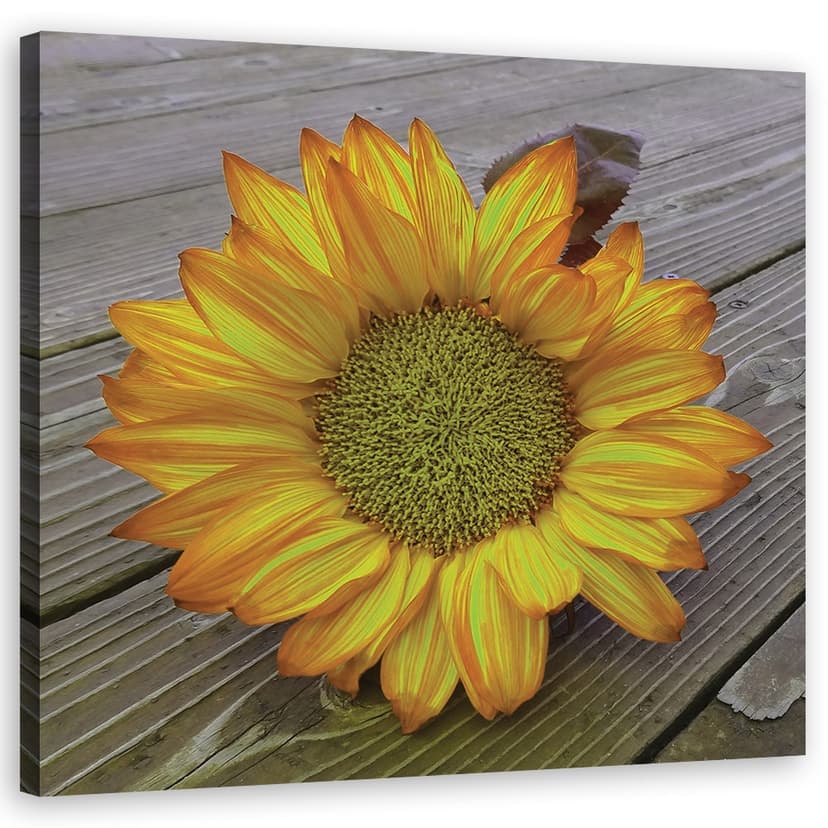 Stampe su tela, girasole giallo