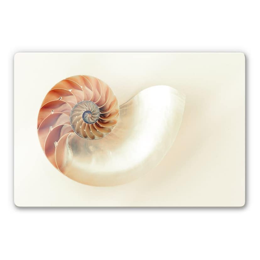 Glasbild Nautilus