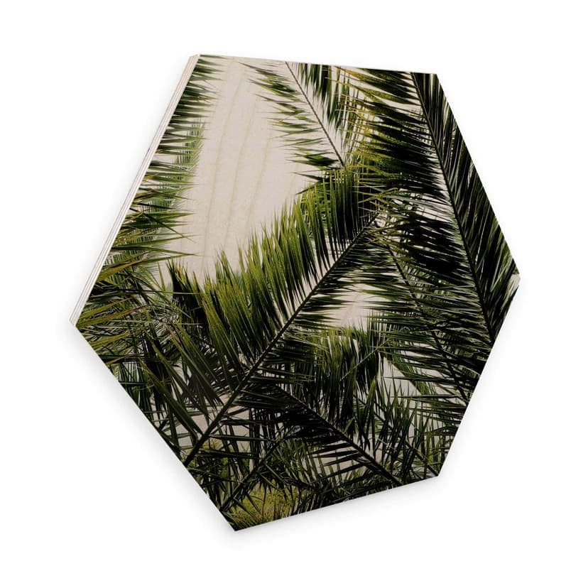 Esagoni in legno – Palme