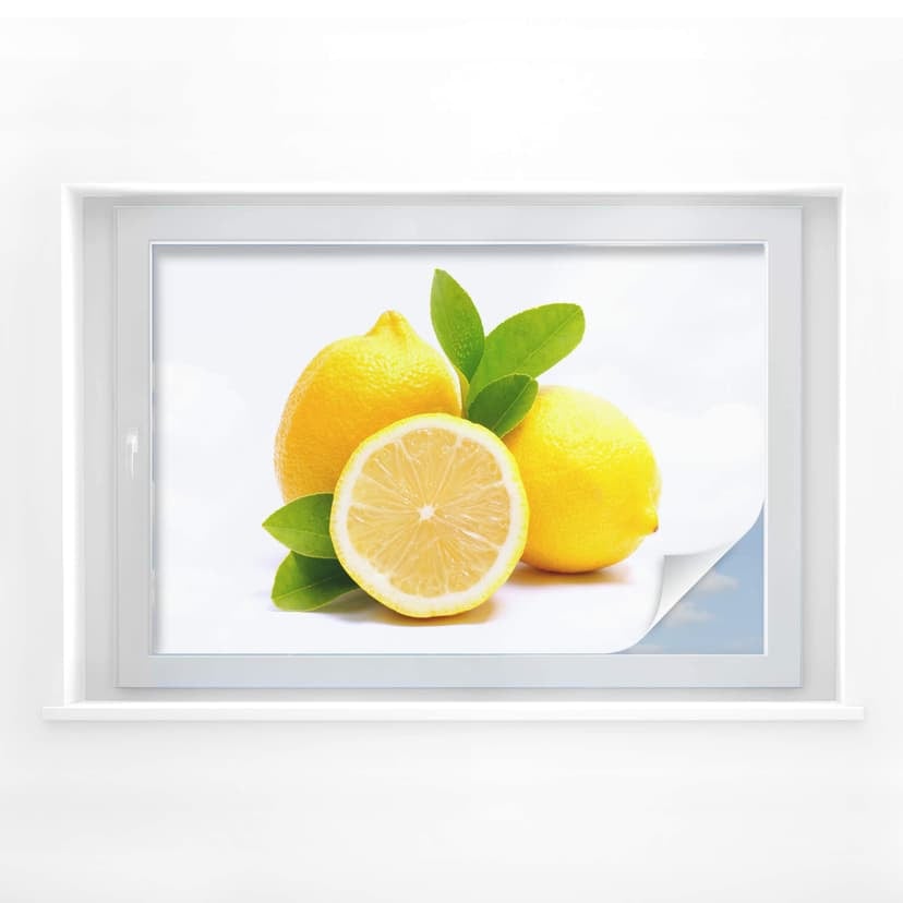 Pellicola adesiva per vetri - limoni