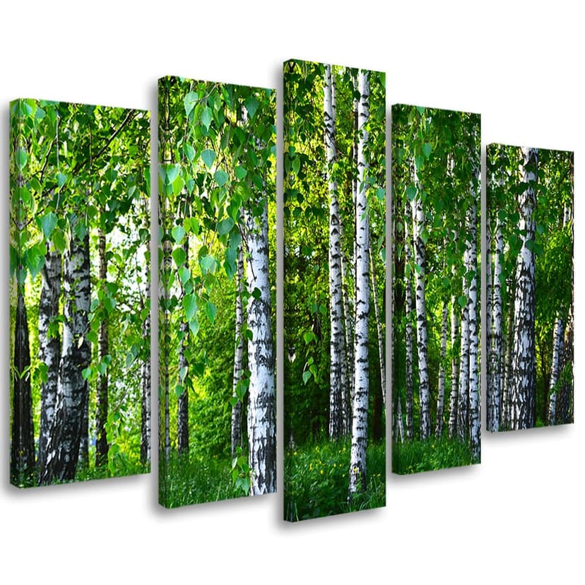 Stampa su tela 5 pezzi, verde bosco di betulle