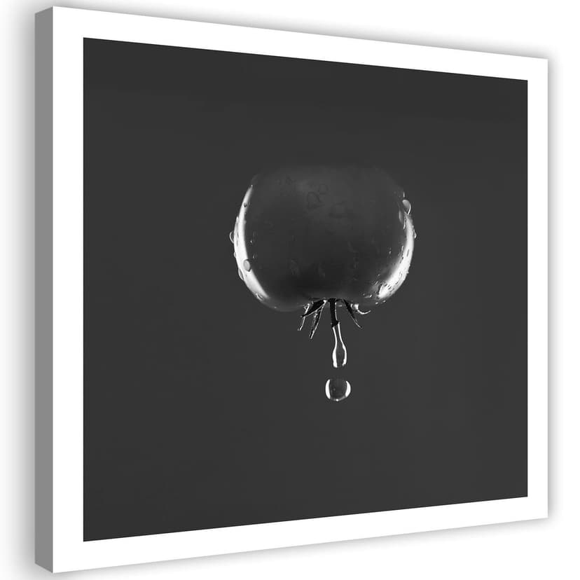 Stampe su tela, Gocce d'acqua di pomodoro