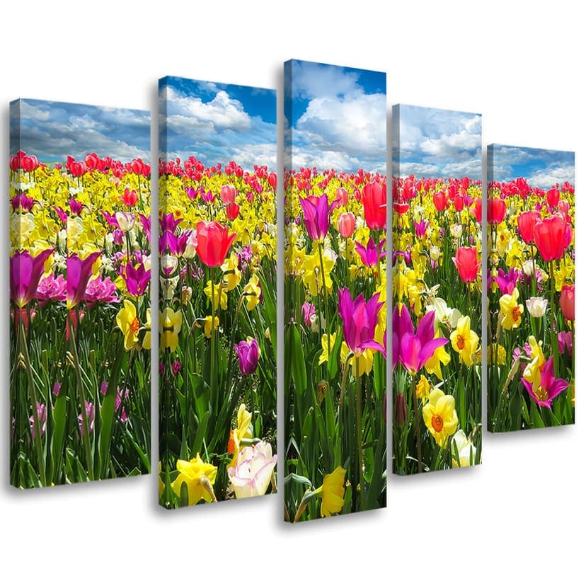Stampa su tela 5 pezzi Fiori di tulipani colorati
