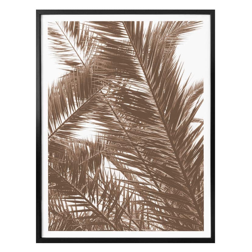 Poster - Palme