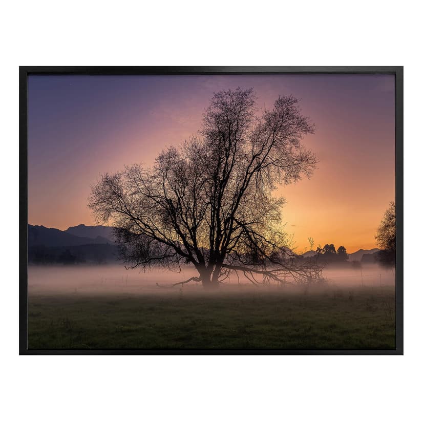 Poster Cuadrado - Nebbia