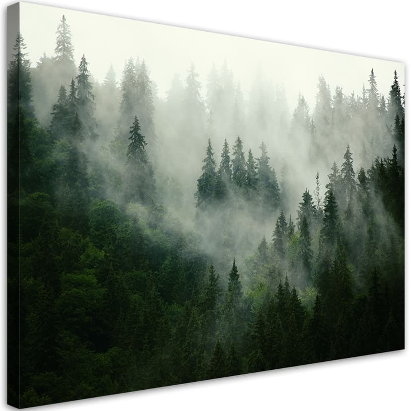 Stampe su tela, Foresta nella nebbia