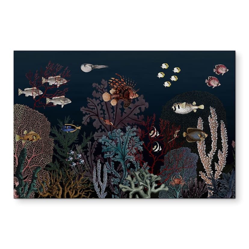 Stampe per pareti Sir Edward - Nelle profondità dell'oceano - Alu-Dibond