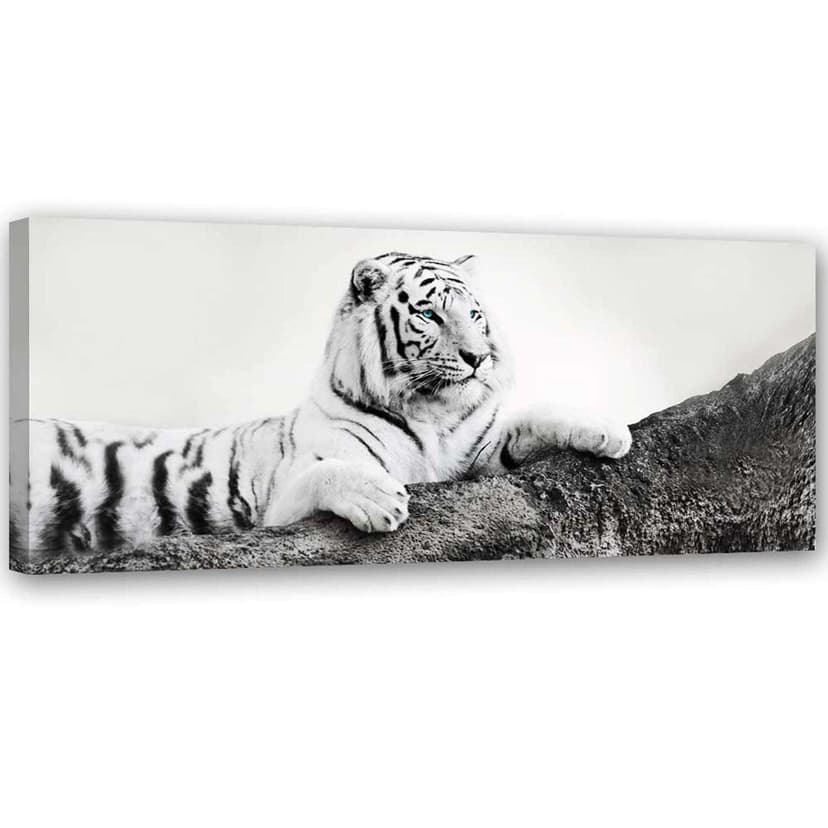 Stampe su tela, Natura selvaggia della tigre