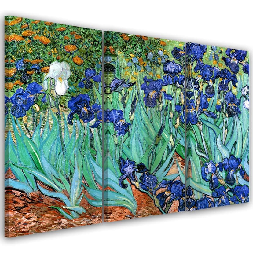 Stampa su tela 3 pezzi, Vincent Van Gogh Iris