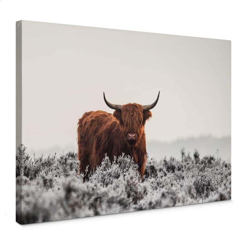Stampa su tela van den Helm - Highlander