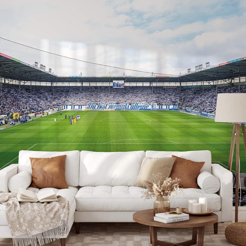 Fotomurale FC Magdeburg Fans