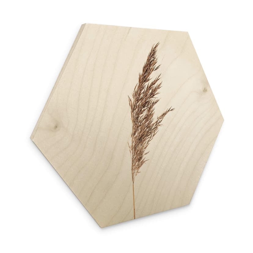 Esagono in legno Erba ornamentale No. 1