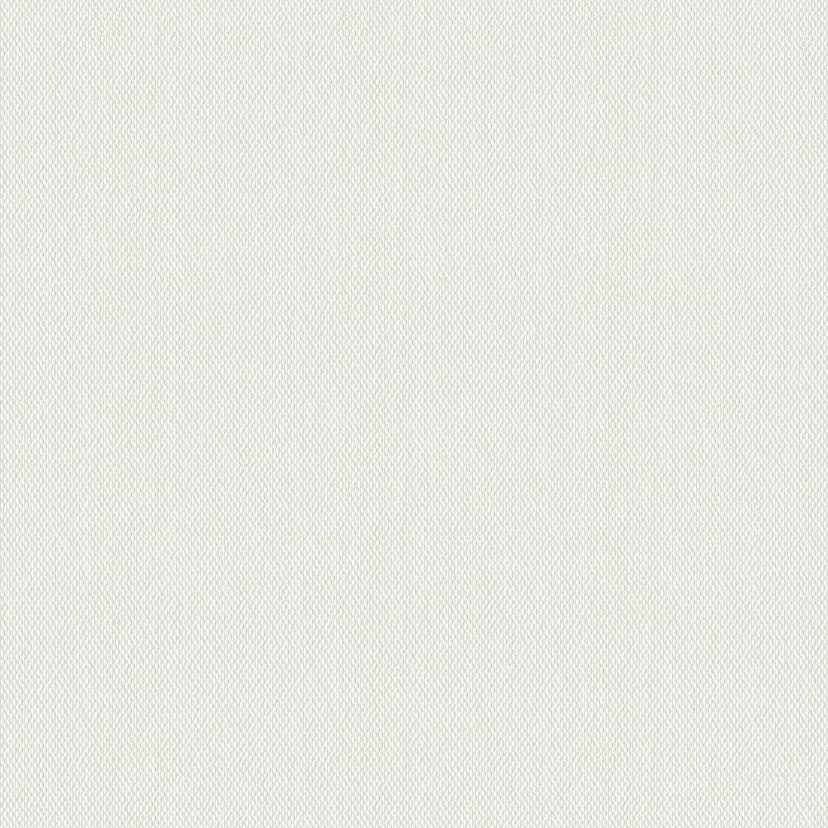 Carta da parati in fibra di vetro - verniciabile