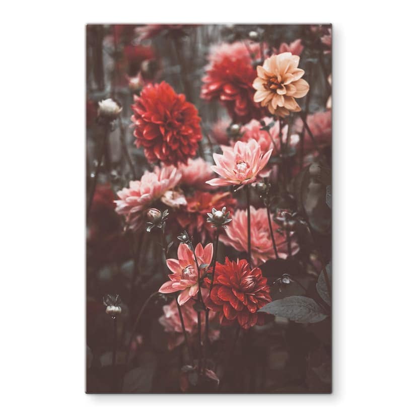 Stampa su vetro Annie - Fiori estivi