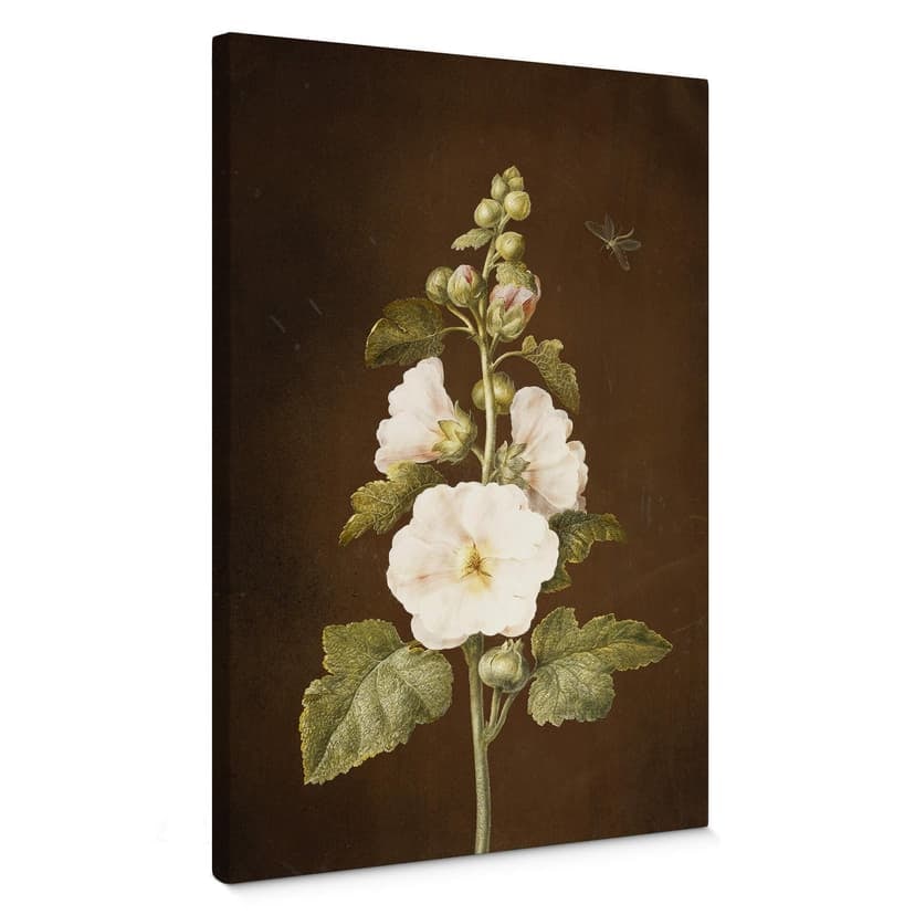 Stampa su tela - Dietzsch – Alcea rosea