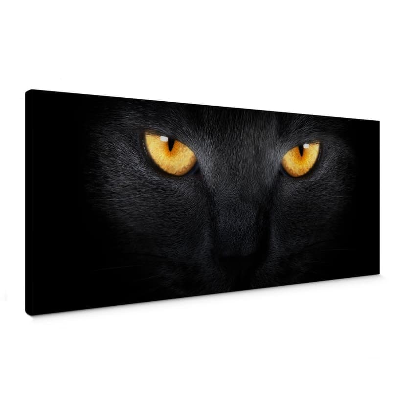 Occhi di gatto