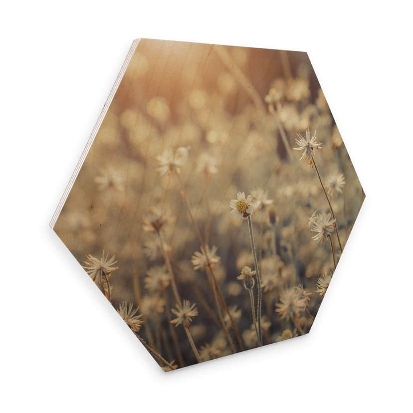 Esagoni legno Mexican Daisy
