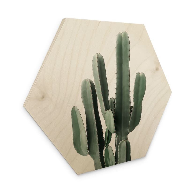 Esagono in legno Pianta di cactus - Sisi & Seb