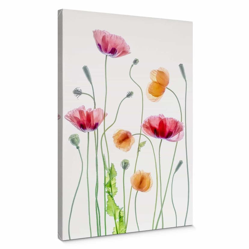 Stampa su tela Disher - Colourful Poppies