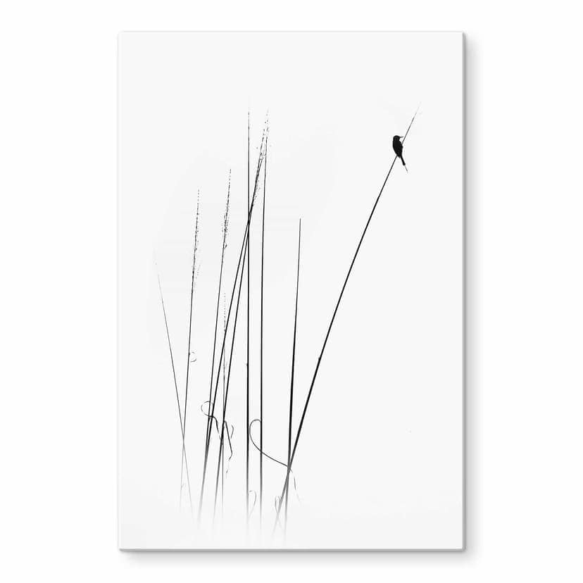 Stampa su vetro Swapnil - Time out