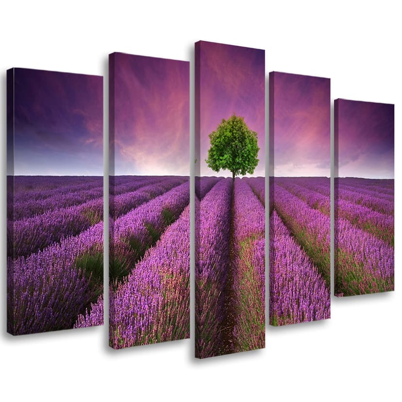Stampa su tela 5 pezzi, fiori di prato viola
