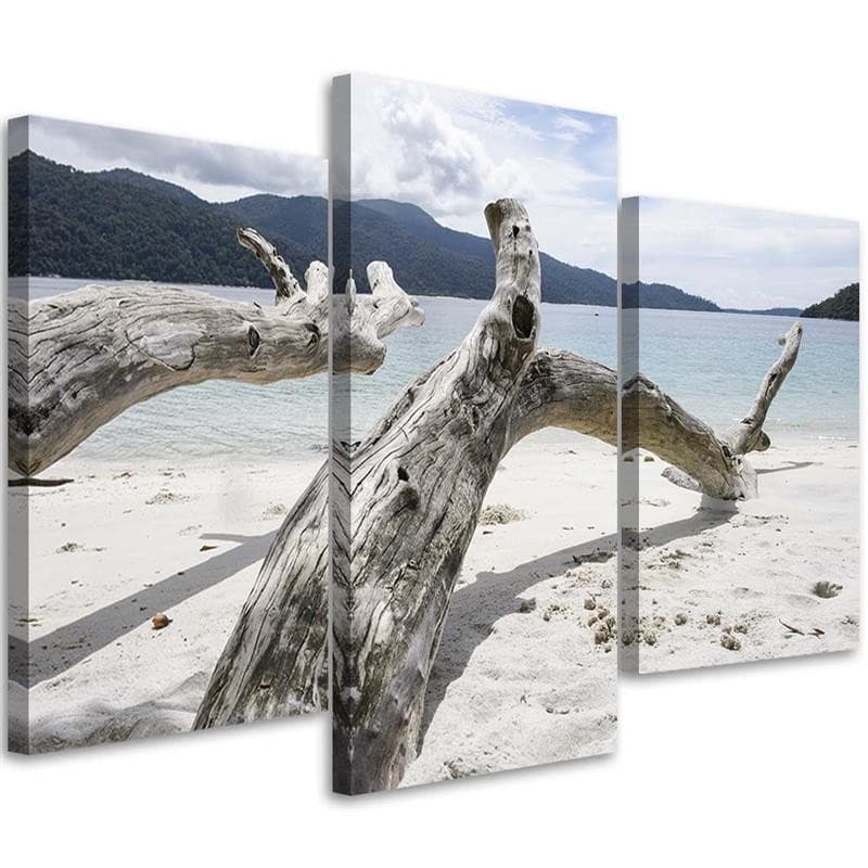 Stampa su tela 3 pezzi, ramo di un albero mare spiaggia montagne