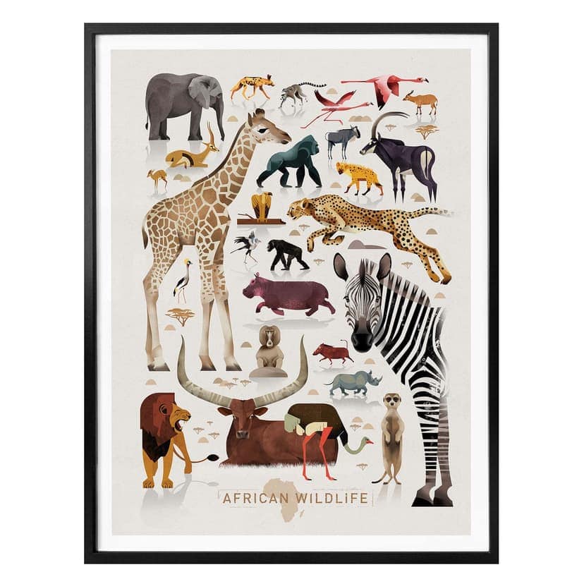 Poster Braun - Africa