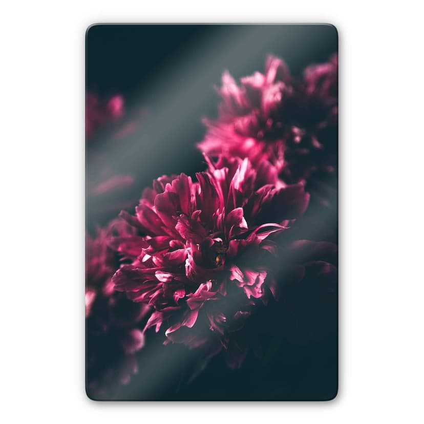 Stampa su vetro Pink Flower Dream 01