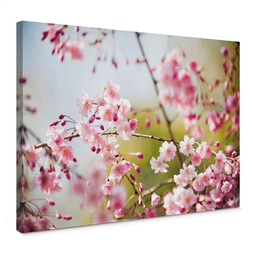 Stampa su tela - Cherry Blossoms