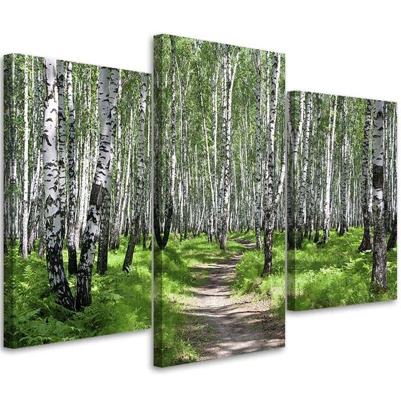 Stampa su tela 3 pezzi, foresta di betulle natura