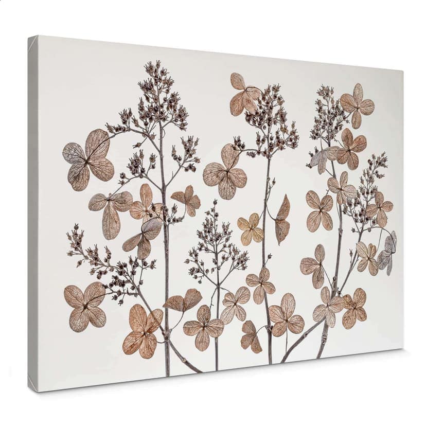 Stampa su tela Disher - Fiori secchi