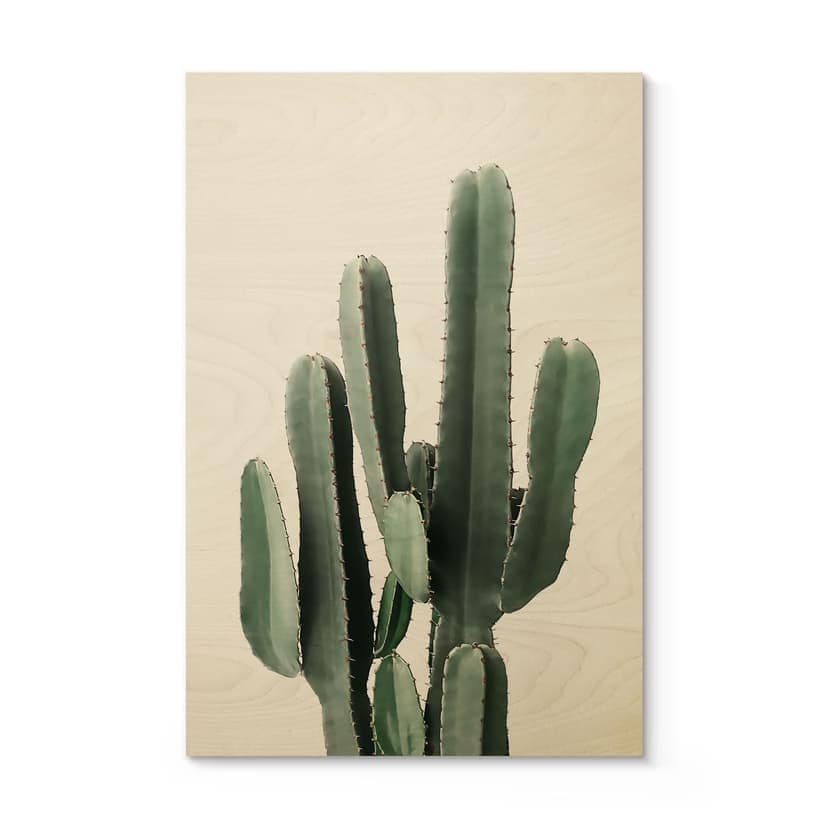 Pianta di cactus a stampa su legno - Sisi & Seb