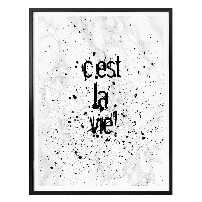 Poster - C'est la vie