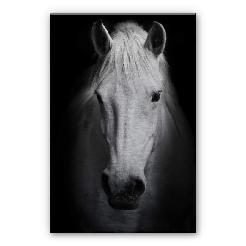 Cavallo bianco