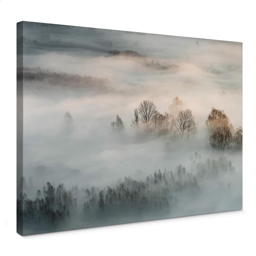 Stampa su tela Galimberti - Nebbia