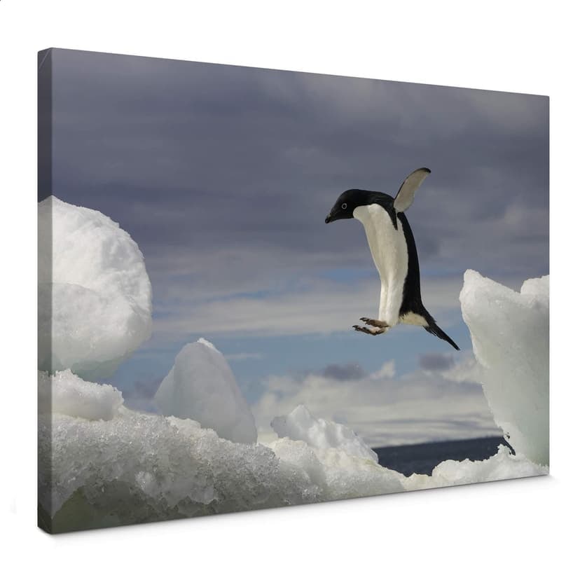 Stampa su tela - NG Pinguin Fly